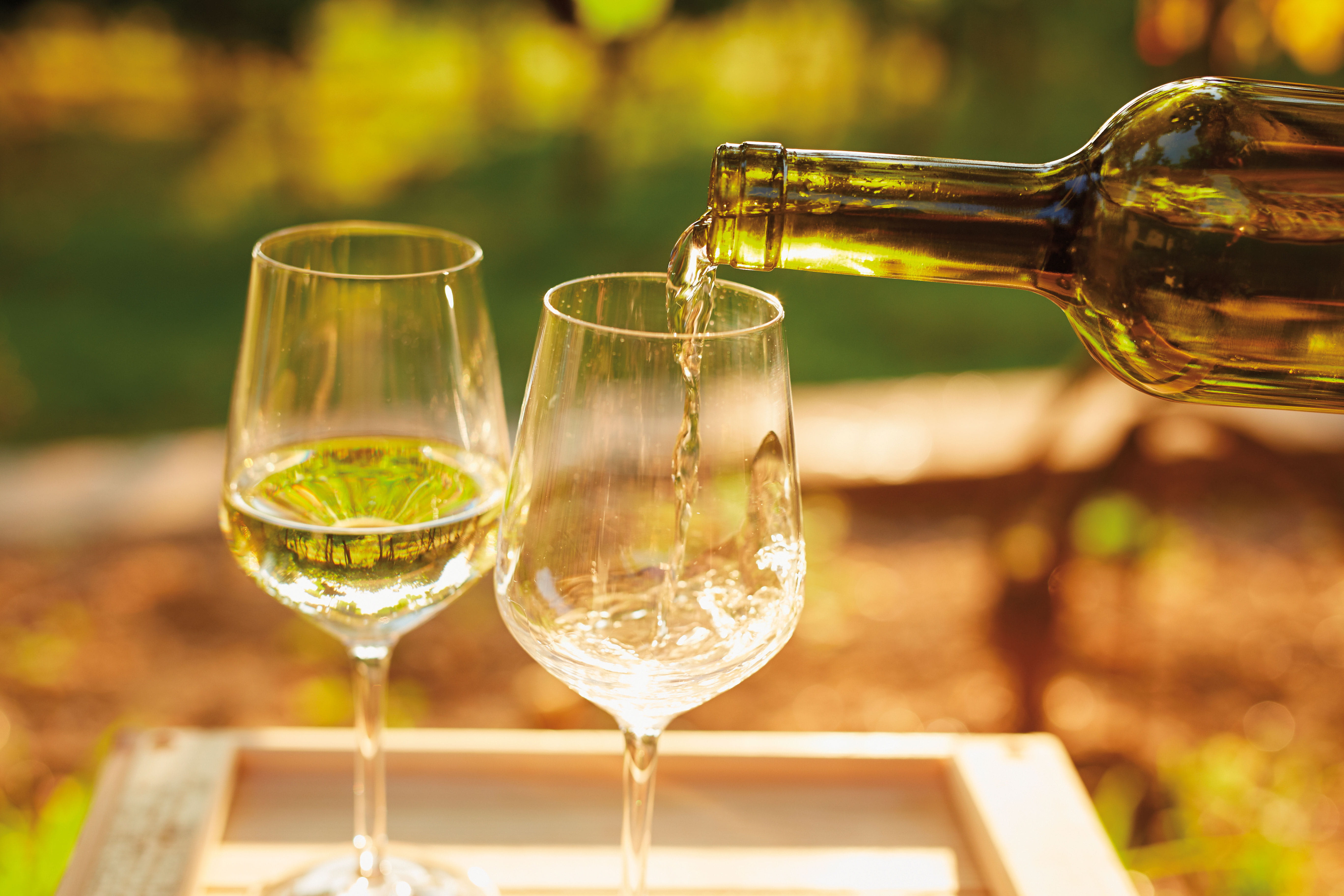 White wine being poured into glasses